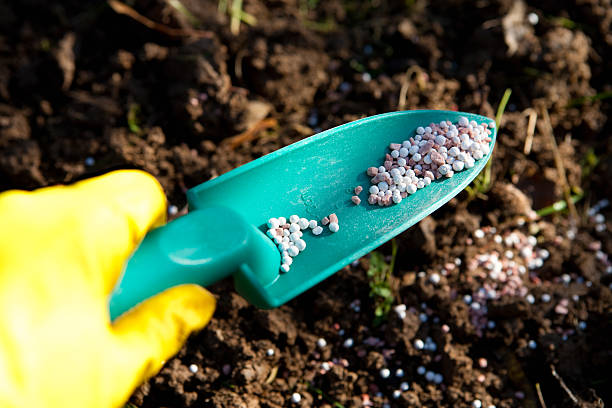 Nawozy organiczne vs mineralne – co sprawdzi się na różnych typach gleby?